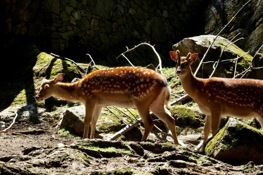 Lieu Secret Dans Les Alpes Suisses Villa Le Tretien ภายนอก รูปภาพ